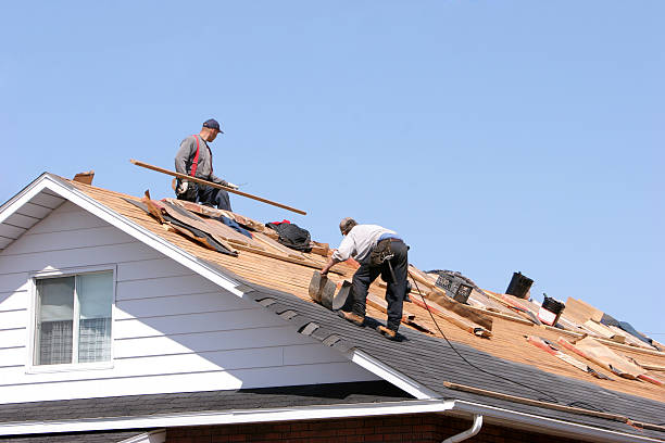 Best Skylight Installation and Repair  in Selma, CA